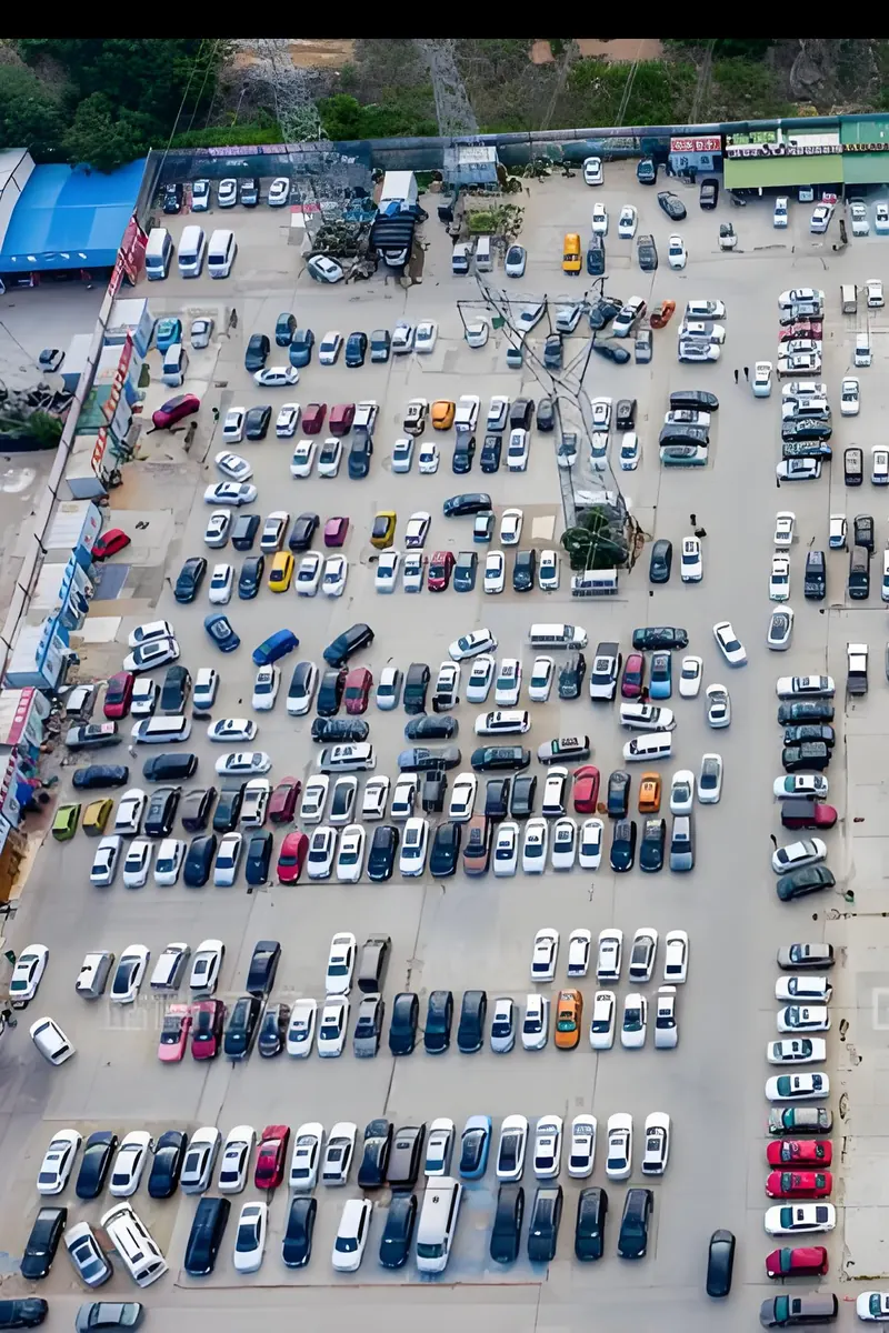 GreenVista Auto Showroom & Inventory